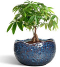 10 Inch Plant Pot - Ceramic Planter for Indoor Outdoor, Round Bonsai Pots, Decorative Flower Pots with Drainage Hole, Modern Unique Planters, House Decor, Home Gifts, Retro Blue by Thirtypot