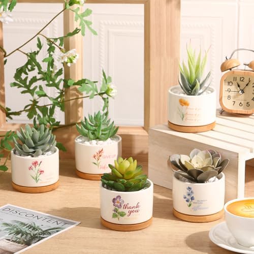Funnymoom 12 Pcs Inspirational Succulent Pots Bulk Back to School Teacher Gift Floral Ceramic Planter with Bamboo Tray Thank You Gifts for Coworker Employee Office Staff, Plant Excluded (Stylish) - Image 4