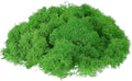 uxcell Preserved Reindeer Moss, 17.6oz Fake Moss for Crafts Artificial Dried Moss for Decoration Terrariums Potted Plants, Green by uxcell