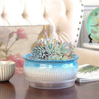 8 Inch Succulent Pot with Drainage and Saucer Glazed Terracotta Round Ceramic Succulent Planter Cactus Bonsai Plant Pot (Light Blue) - Image 6