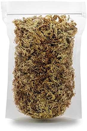 Premium Grade Sphagnum Moss by Gardenera - 10 Quart - Organic Hand Mixed New Zealand Long Fibered Sphagnum Moss Orchid - 2 Bags of 5 Quart - Image 6