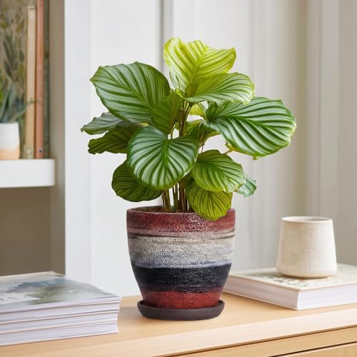 6 Inch Ceraimc Planters, Ceraimc Plant Pots Indoor, Rainbow - Image 6