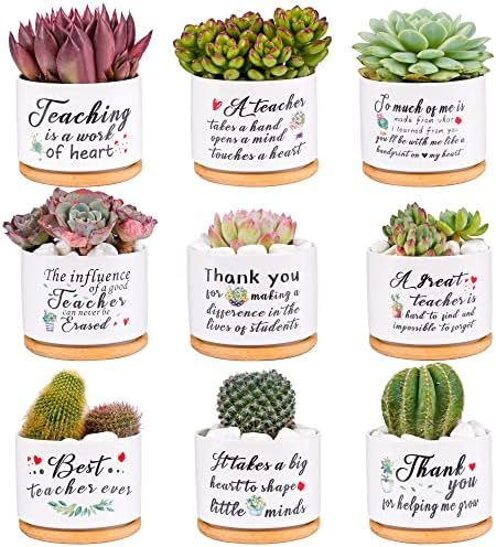 SAIWEILAI ONLINE 9 Pieces Teacher Appreciation Gifts Ceramic Succulent Plant Pot Small Flower Planter Funny Cute Succulent Plant Pot Planter Succulent Accessories for Teacher Christmas Birthday Gift by SAIWEILAI+ONLINE