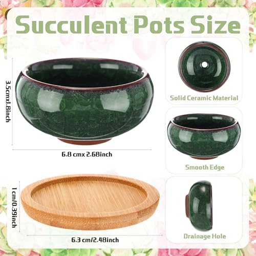 24 Pcs Small Succulent Pots with Drainage - 2.5 Inch Mini Ceramic Cactus Planters with Bamboo Saucers, 8 Colors Ice Crack Glaze Flower Pots for Plants, Home Office Desk Decor - Image 2