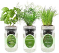 Hydroponic Herb Growing Kit Set, Self-Watering Mason Jar Herb Garden Starter Kit Indoor, Windowsill Herbs Garden, Grow Your Own Herbs from Organic Seeds (Basil, Dill, Chives) by Environet