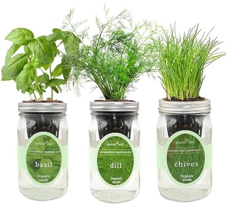 Hydroponic Herb Growing Kit Set, Self-Watering Mason Jar Herb Garden Starter Kit Indoor, Windowsill Herbs Garden, Grow Your Own Herbs from Organic Seeds (Basil, Dill, Chives) by Environet