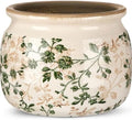 7.7" Large Ceramic Plant Pot Beige Green Jasmine Vine Crackle Glaze Rustic Flowers Pot Decorative Planter with Drainage for Indoor Outdoor Plants Home Kitchen Office Decor Gift by Unknown