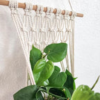 Set of 3 Ombre Dyed Macrame Wall Hanging plant stand Macrame plant hanger indoor and outdoor plant hanger Plant shelf indoor vertical garden planter plant shelf indoor Boho Decor (Ombre Gray) - Image 7