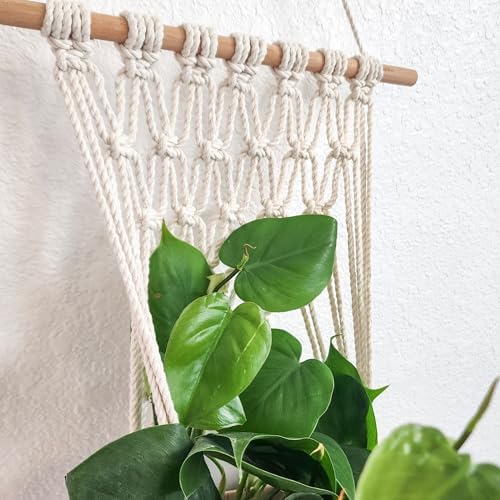 Set of 3 Ombre Dyed Macrame Wall Hanging plant stand Macrame plant hanger indoor and outdoor plant hanger Plant shelf indoor vertical garden planter plant shelf indoor Boho Decor (Ombre Gray) - Image 7