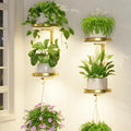 LASZOLA Plant Hanger Holder Shelf Wall Indoor with Lights, 2 Pcs Gold by LASZOLA