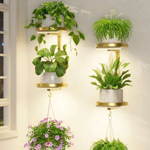 LASZOLA Plant Hanger Holder Shelf Wall Indoor with Lights, 2 Pcs Gold by LASZOLA