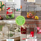 D'Eco Large Glass Plant Terrarium, Centerpiece & Wedding Letterbox Display - Image 7