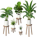 5-Pack Wood Plant Stands Indoor, Single Plant Stand for 6-22 Inch Pots, Mid-Century Modern Plant Stool, Tall Plant Stand for Large Plants Perfect Fit for Living Room, Balcony, Office(Dark Brown) by Unknown