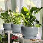 SQOWL Ceramic Pot for Plants - 8 Inch Plant Pot Indoor with Drainage Hole and Saucer, Round Planter Outdoor, Decorative Modern Planter for Flower, Bedroom Decor, Plant Lovers Gifts, Gray - Image 6