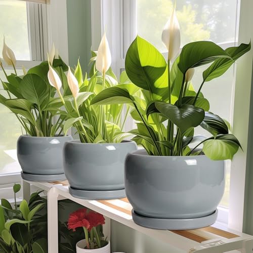 SQOWL Ceramic Pot for Plants - 8 Inch Plant Pot Indoor with Drainage Hole and Saucer, Round Planter Outdoor, Decorative Modern Planter for Flower, Bedroom Decor, Plant Lovers Gifts, Gray - Image 6