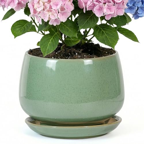 10.3 Inch Flower pots for Indoor Outdoor Plants with Saucer Drainage Leak-Proof Mesh, Ceramic Planter with Gardening Gloves for Succulent and Flower (Crackled Green) by Unknown