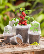 homenote 3/4/5 Inch Clear Nursery Pots with Domes for Propagation (15 Pcs) - Image 2