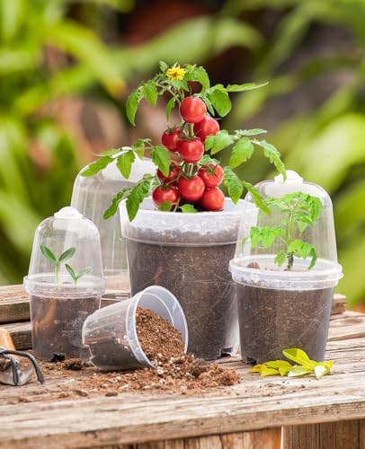homenote 5 Inch Clear Nursery Pots with Humidity Domes and Labels (15 Pcs) - Image 2