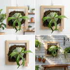 Staghorn Fern Mounting Frame Kit Wooden Wall Planter Vertical Gardens Hanging Plant Holder for Platycerium, Orchids and Succulents(Wood) - Image 6