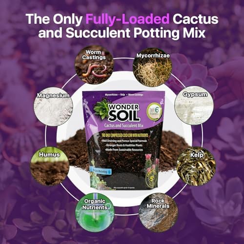 WONDER SOIL | Organic Cactus & Succulent Soil Mix (12 Quarts) | Fast Draining Living Coco Coir Loaded w/Nutrients | Ready to Plant Indoor/Outdoor Peat-Free Potting Soil | 3 LB Expands to 12 Quarts - Image 2