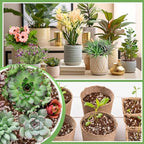 Coco Coir Perlite Mix - Retain Moisture, Improve Drainage & Aeration - Coco Peat Perlite Potting Mix, Loose Organic Potting Soil for Indoor Plants, 10 Quarts - Image 6