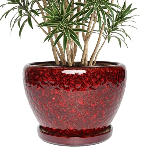 10.6 Inch Ceramic Planter with Saucer for Indoor Plants (Speckled Red) by Unknown