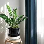 D'vine Dev Self-Watering Black Terracotta Planter Pot, 10 in, 37-X-D-3 - Image 2