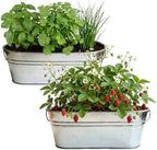 Buzzy Seeds Windowsill Grow Kit 2-Pack, Metal Planter, Strawberry & Herbs - Image 2