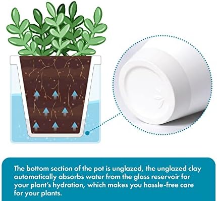 D'vine Dev Self-Watering White Terracotta Planter, 4 in, 3-Pack, 37-Z-A-2-T - Image 4