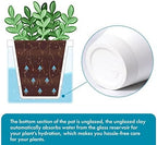 D'vine Dev Self-Watering White Terracotta Planter, 4 in, 4-Pack, 37-Z-A-2-F - Image 4