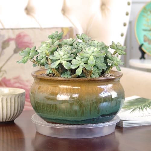8 Inch Succulent Pot with Drainage and Saucer Glazed Terracotta Round Ceramic Succulent Planter Cactus Bonsai Plant Pot (Brown and Green) - Image 6