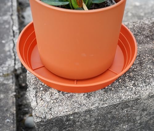 LWALRS Plant Saucer 14 Inch 4 Pack 6 8 10 12 14 16 18 20 25, Plastic Plant Trays for Pots，Extra-Deep Plant Water Dray Tray, Bird Bath Bowl, Heavy Flower Plant Saucers Indoors and Outdoor No Holes - Image 4