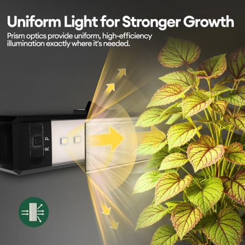 Maygrove Grow Lights for Indoor Plants, Tunable Spectrum 2FT LED Growing Lamp 120W (8 x 15W), T5 Grow Light Strip for Seed Starting, Vegetables, Linkable, Black, 8-Pack - Image 4