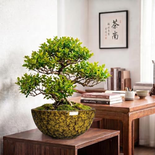 Bowl Planter, 12 Inch Ceramic Bonsai Planter, Yellow Leopard - Image 5