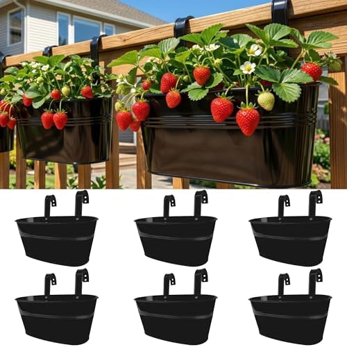 LaLaGreen Modern Rail Planter (9.8 in, 6 Pack) Black Metal Deck Buckets by L%C3%A1L%C3%A1Green