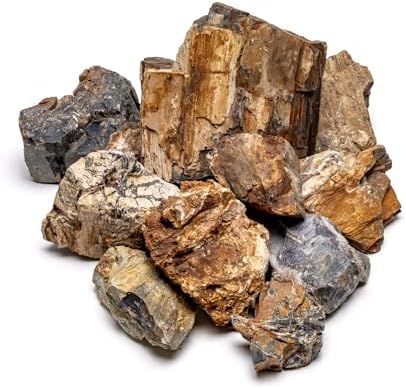 SubstrateSource Natural Stone for Aquarium, Terrarium, Paludarium, Reptile Enclosures - Set of Decorative Rocks for Landcapes, Aquascaping, Fish Tank Decor (Petrified Wood Stone, 30 Pounds, 2-8") by SubstrateSource