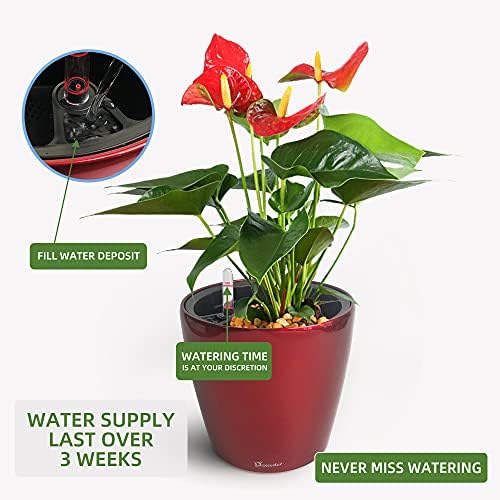 Dexceder 9x8 Self Watering Planter (Red High Gloss) - Image 5