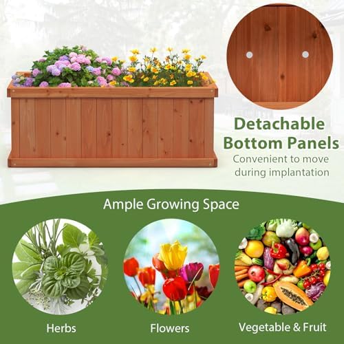 GIANTEX Raised Garden Bed Set of 2, 31”x14”x12” Wooden Elevated Planter Box with 4 Drainage Holes & Detachable Bottom Panels, Flower Bed, Rectangular Plant Container for Vegetables, Herbs & Fruits - Image 5