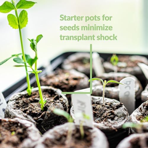 Jiffy Plant Germination Kit - Cold Hardy Vegetable - 72 Cell, 2 Pack - Image 7