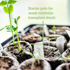 Jiffy Plant Germination Kit - Cold Hardy Vegetable - 72 Cell, 2 Pack - Image 7