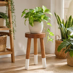 Teak 11.8" Round Dip Dyed Teak Stool | Wood Accent Side Table | Wood Plant Stand (20" Tall White) - Image 3