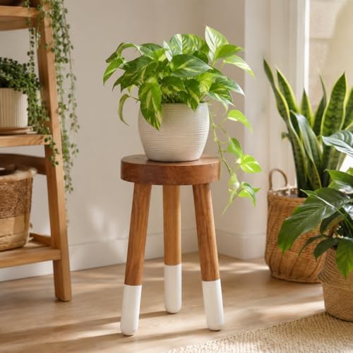 Teak 11.8" Round Dip Dyed Teak Stool | Wood Accent Side Table | Wood Plant Stand (20" Tall White) - Image 3