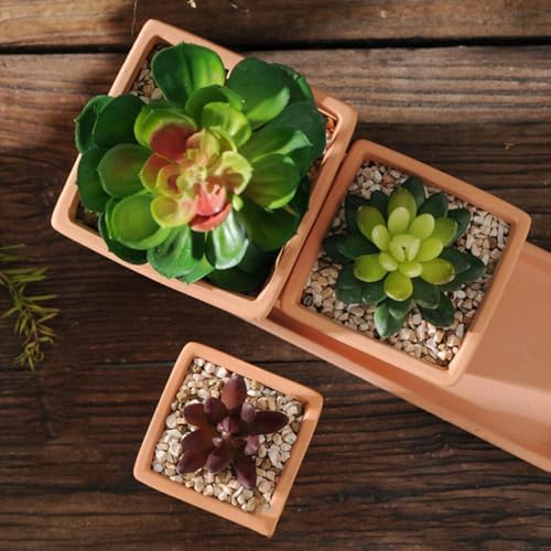 GANAZONO 5pcs Small Terracotta Pots Square Clay Pots Ceramic Flower with Drainage Holes Cactus Nursery Planter Succulent Terracotta Plant for Outdoor Indoor - Image 5