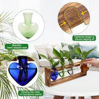 Plant Propagation Stations Heart Plant Terrarium Kit - Image 2