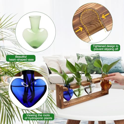 Plant Propagation Stations Heart Plant Terrarium Kit - Image 2