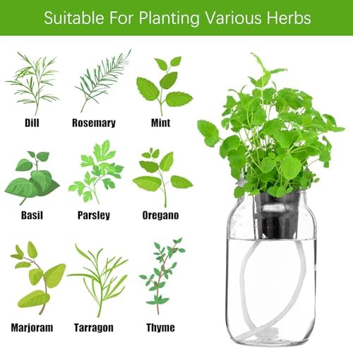 Teenyyou 6 Set Hydroponic Mason Garden Jar Kit Self Watering Herb Hydroponic Planter Starter Kit with Net Pot Garden Flower Plant Growing Gift for Indoor Herbs Windowsill Gardening - Image 4