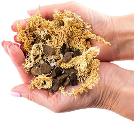 Premium Sphagnum Moss, Perlite and New Zealand Pine Bark Blend for Carnivorous Plants - 10 Quart - Perfect for Venus Fly Traps, Pitcher Plants, Sarracenia, Butterworts, and Sundews by GARDENERA - Image 6
