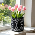 Sleek Nordic-Style Geometric Cement Flower Pot Flat Straight Cylindrical Bonsai with Holes for Indoor use(Black) - Image 5
