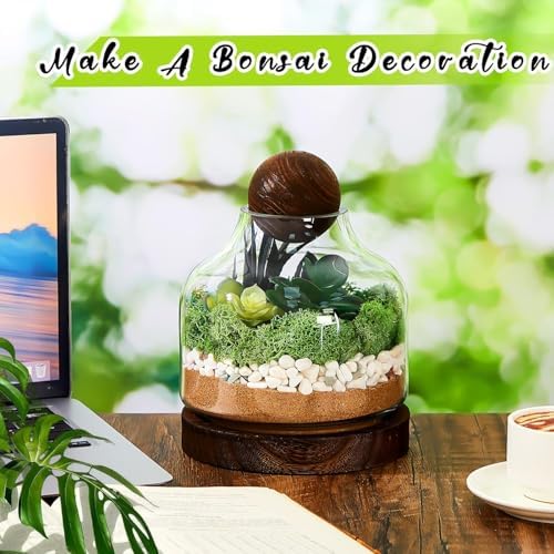 1 Pcs Glass Terrarium Container with Wooden Base and Decorative Ball Lid, 7 Inch DIY Terrarium Jar for Moss, Ferns, Air Plants and Succulents, Mini Indoor Garden Vase for Home Office Desk Decor - Image 6