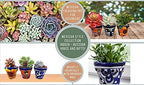 Talavera Hand-Painted Flower Pots (Set of 3) - 3" Garden Party Design - Authentic Mexican Pottery Planters for Succulents - Image 2